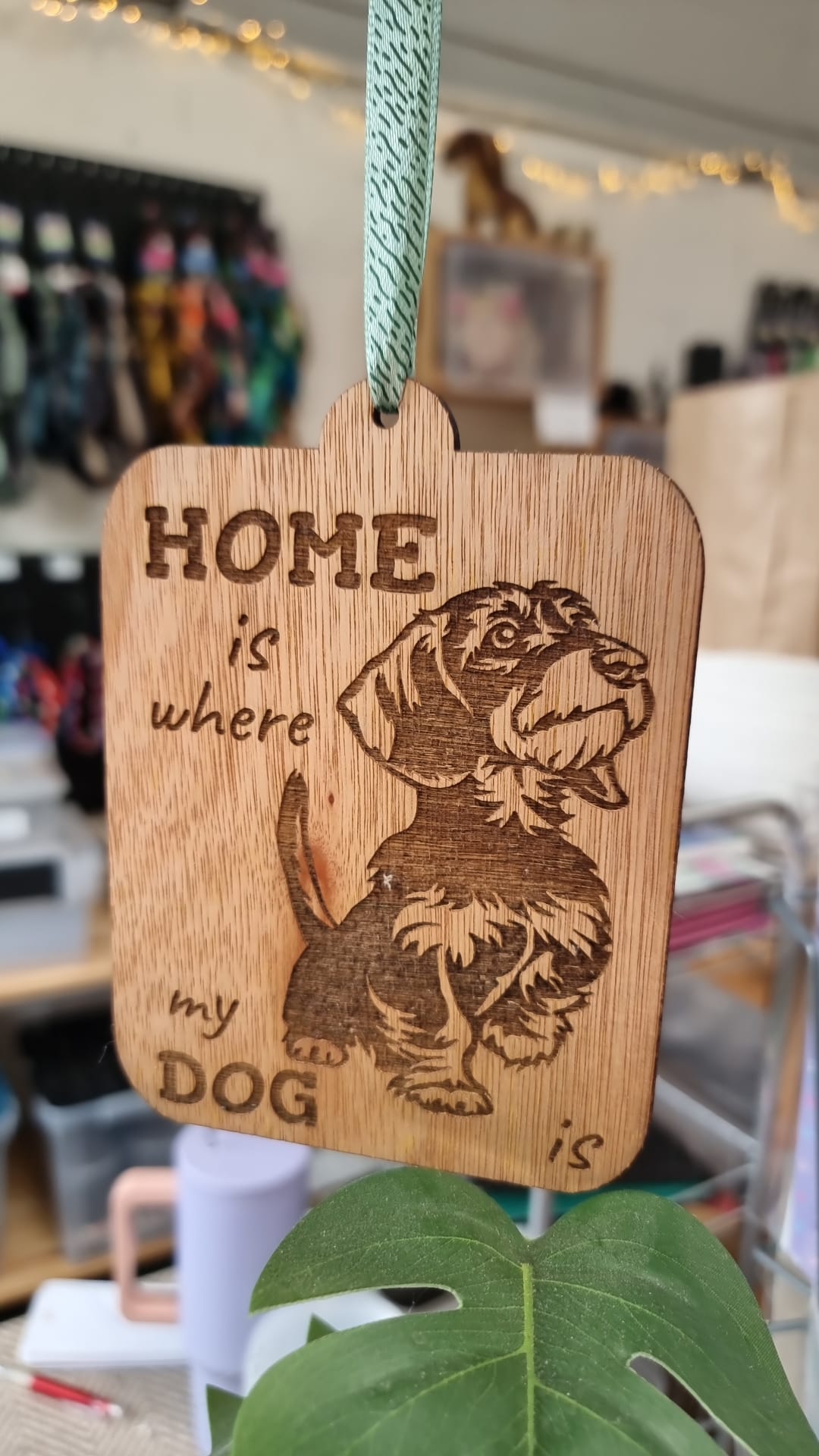 Home is where my dog is